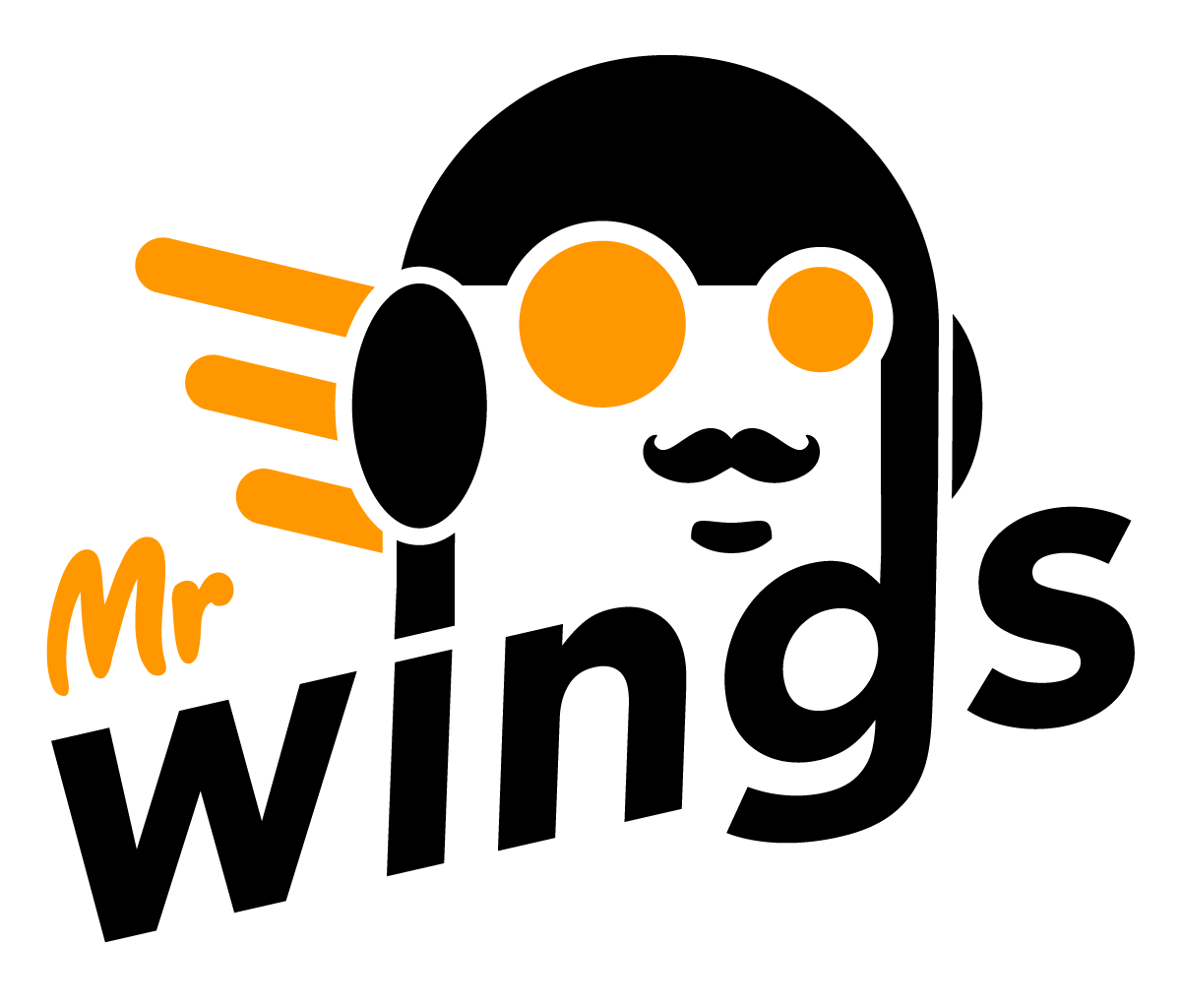 Mr Wings